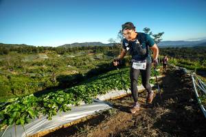 BIB: 1906
                            <button type="button" onclick="openModal(19111345)" class="btn btn-primary btn-sm float-right btn-popup" data-toggle="modal" data-target=".modal-high-quality">
                        <i class="fas fa-shopping-cart"></i> Add to Cart
                    </button>
                                            <button type="button" onclick="isThisMe(19111345, true)" class="btn btn-success btn-sm float-right btn-popup btn-isme hidden" data-toggle="tooltip" data-placement="bottom" title="นี่คือรูปของคุณใช่ไหม คลิกที่นี่เพื่อเอาเข้าอัลบั้ม">
                        <i class="fas fa-plus"></i> Add to album
                    </button>
                    <button type="button" onclick="isThisMe(19111345, false)" class="btn btn-warning btn-sm float-right btn-popup btn-isnotme hidden">
                        <i class="fas fa-ban"></i> Remove from album
                    </button>